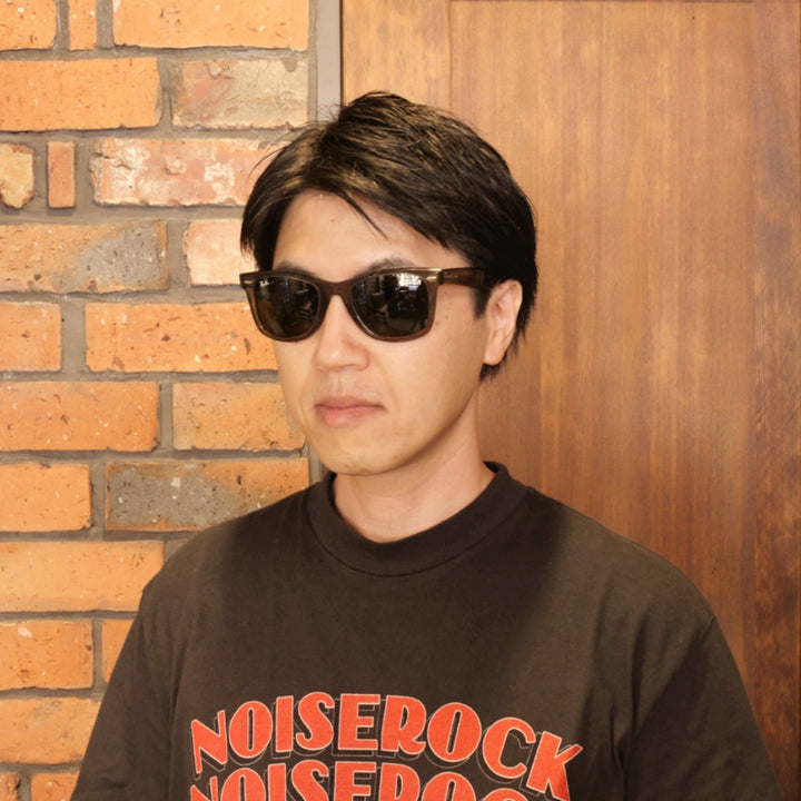 RAYBAN レイバン WAYFARER ウェイファーラー RB2140-F-1387-31（ポリッシュフォトクロミック ストライプ グレー/グリーン）