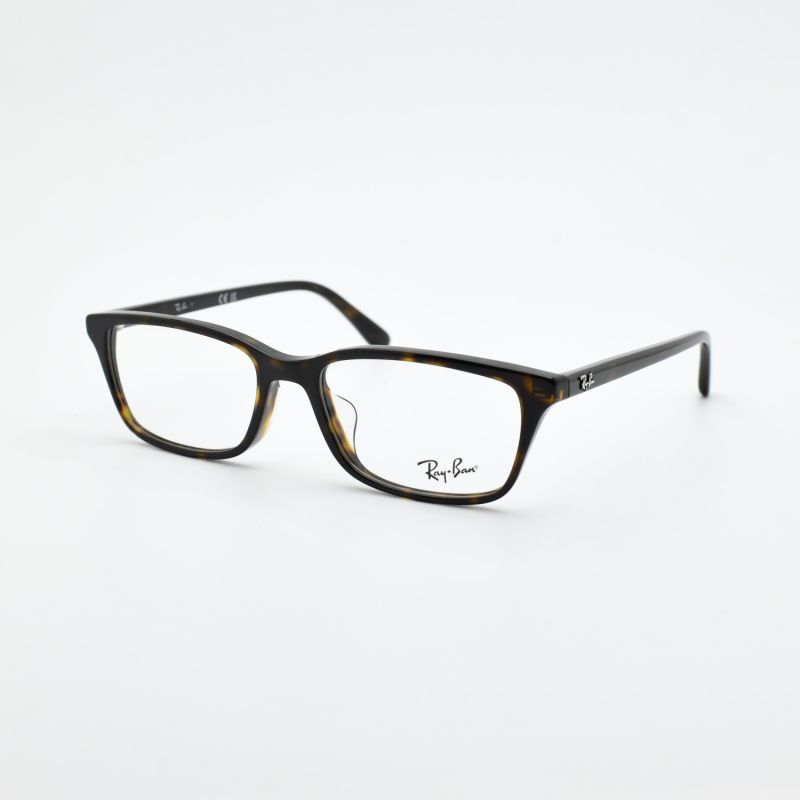 RAYBAN レイバン RD5416D-8287