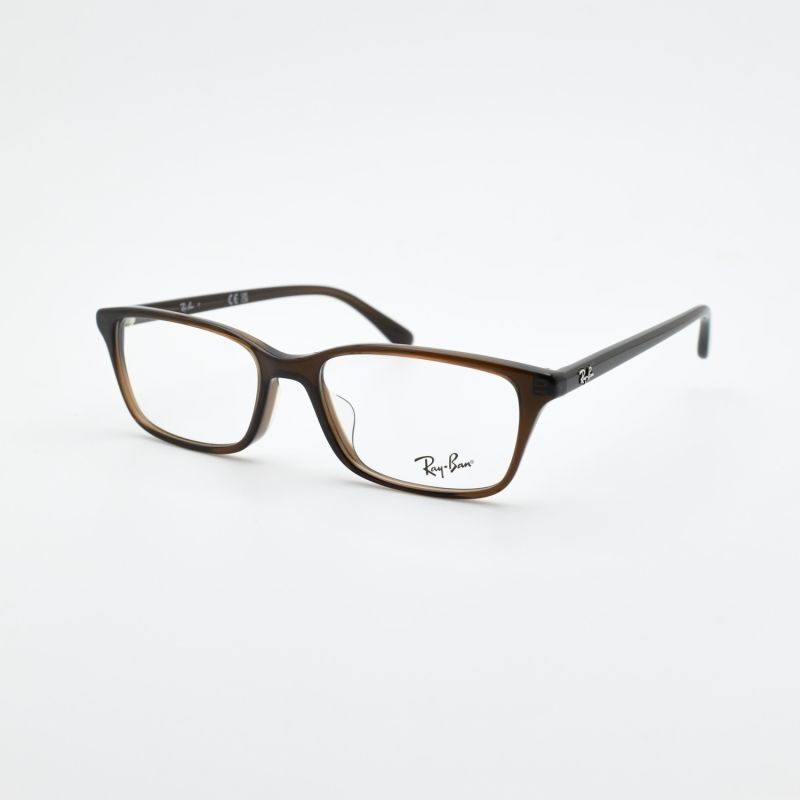RAYBAN レイバン RD5416D-8290