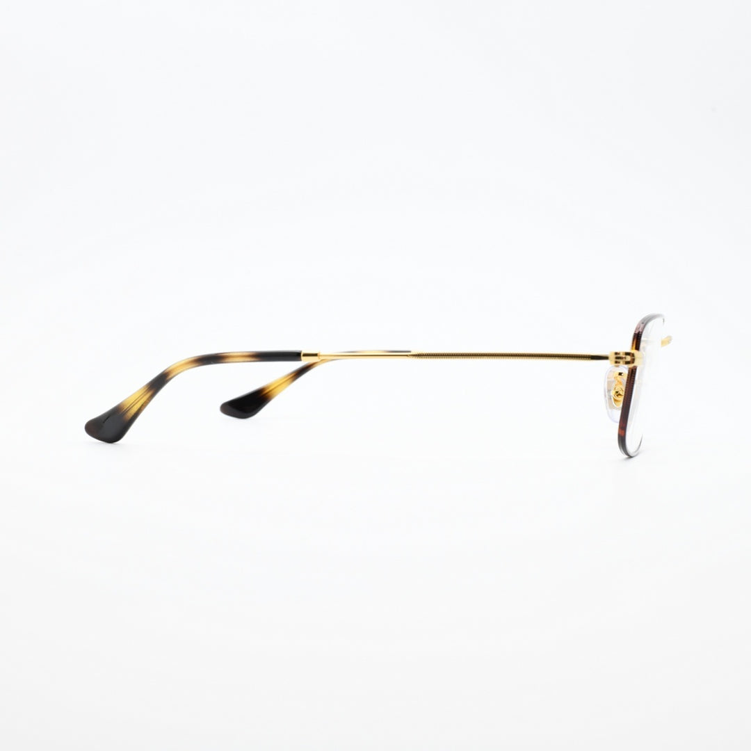 RAYBAN レイバン RB6647-3177 OPTICS POLISH GOLD/HABANA
