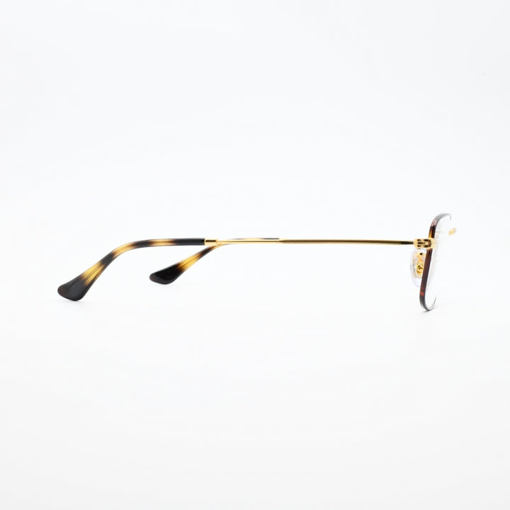 RAYBAN レイバン RB6647-3177 OPTICS POLISH GOLD/HABANA